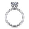 Lark - 14K White Gold Princess Cut Solitaire Engagement Ring