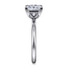Lark - 14K White Gold Princess Cut Solitaire Engagement Ring