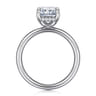 Peace - 14K White Gold Radiant Diamond and Engagement Ring - 0.07 ct