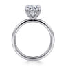 Daniele - 14K White Gold Round Solitaire Diamond Engagement Ring - 0.14 ct