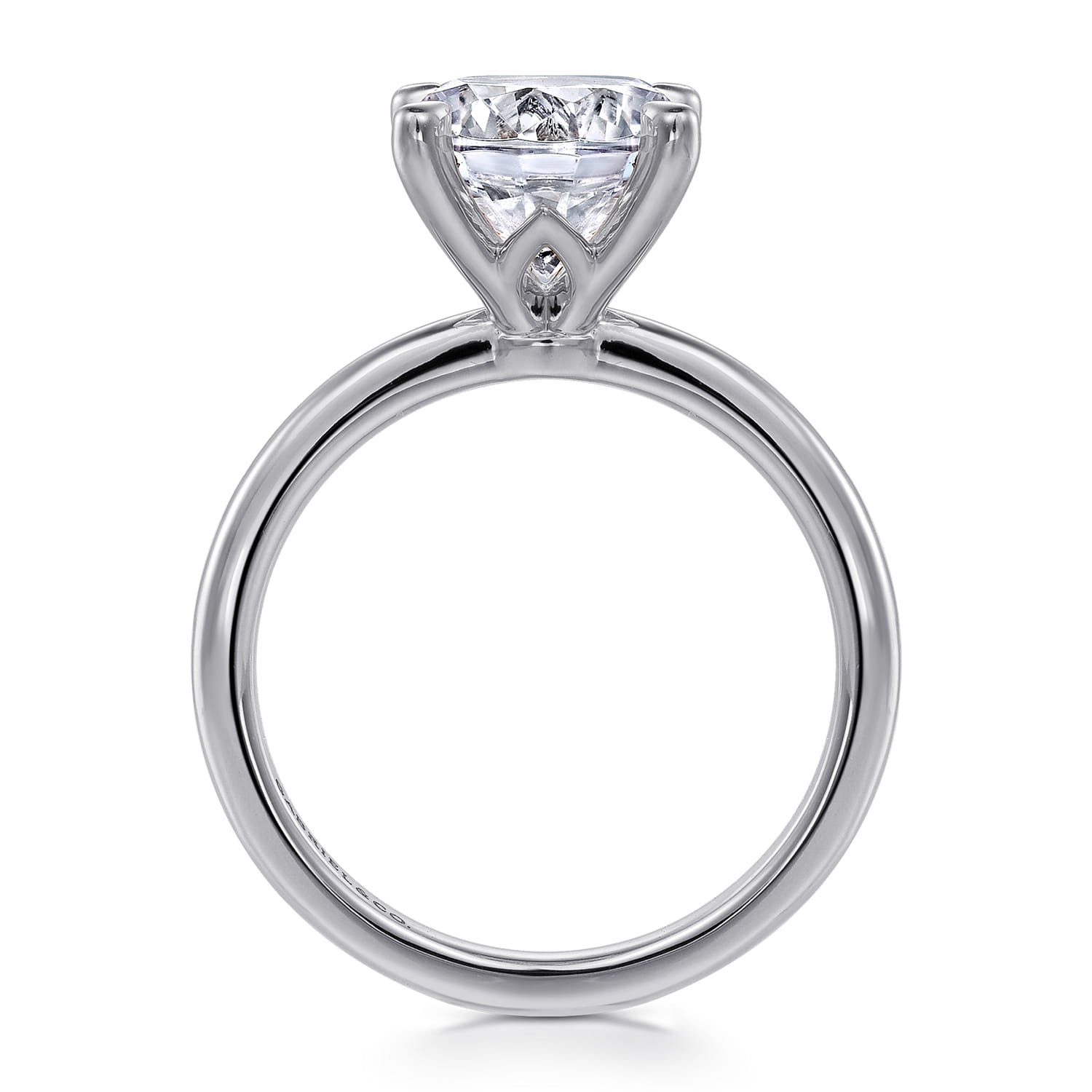 Ali - 14K White Gold Diamond Engagement Ring - Shot 2