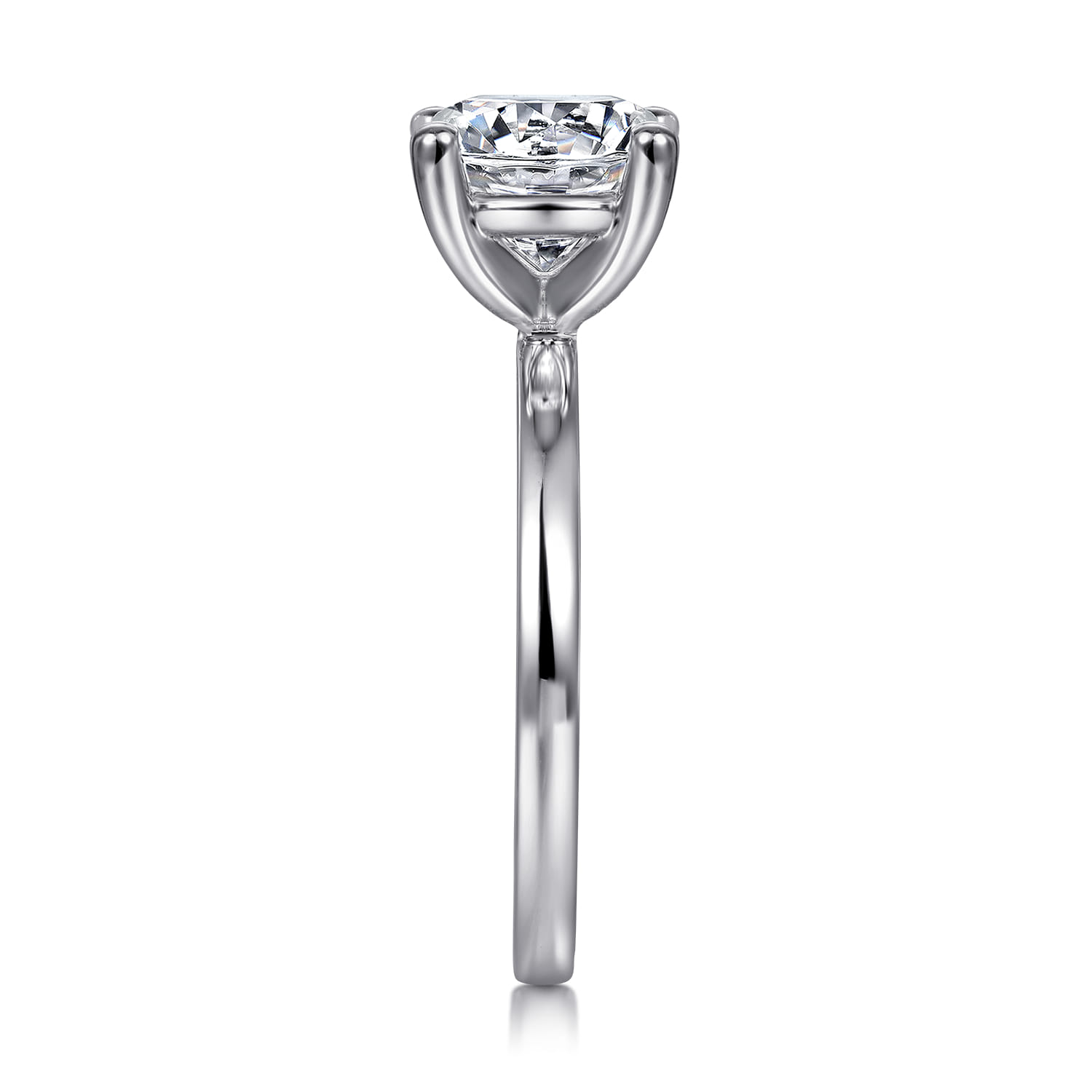 Paula - 14K White Gold Round Diamond Engagement Ring - Shot 4