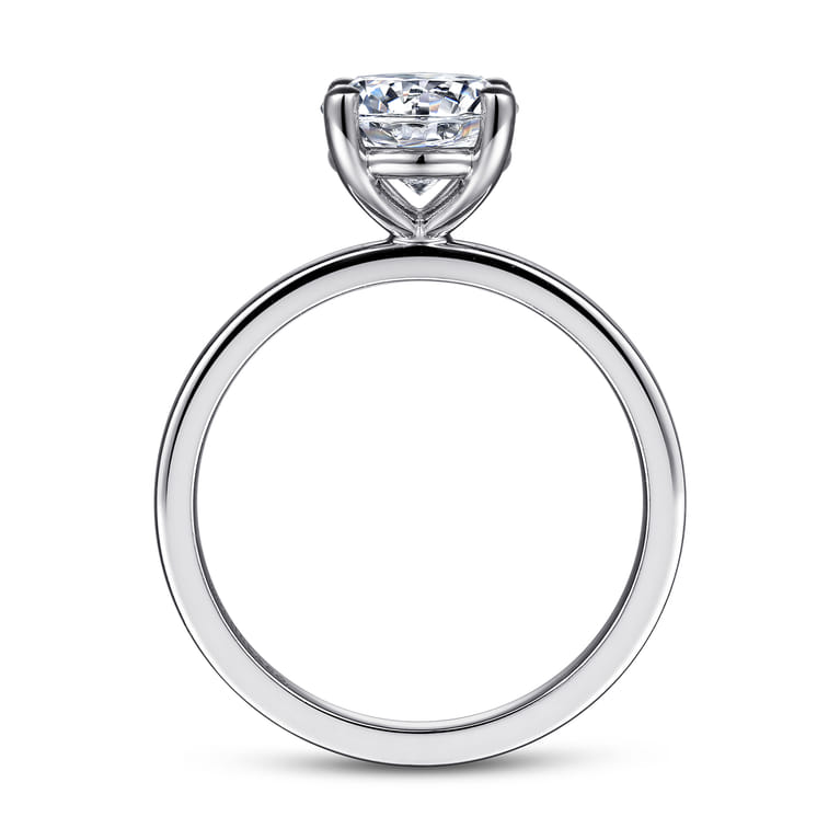 Paula - 14K White Gold Round Diamond Engagement Ring - Shot 2