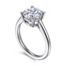 Anushka - 14K White Gold Round Solitaire Diamond Engagement Ring