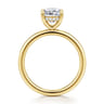 Cari - 14K Yellow Gold Cushion Diamond Engagement Ring - 0.06 ct