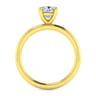 Lark - 14K Yellow Gold Cushion Cut Solitaire Engagement Ring
