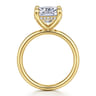Peace - 14K Yellow Gold Elongated Cushion Diamond Engagement Ring - 0.09 ct