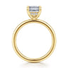 Cari - 14K Yellow Gold Emerald Cut Diamond Engagement Ring - 0.06 ct