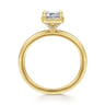 Cassi - 14K Yellow Gold Emerald Cut Diamond Engagement Ring - 0.06 ct