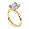 Peace - 14K Yellow Gold Emerald Cut Diamond Engagement Ring - 0.07 ct