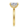Peace - 14K Yellow Gold Emerald Cut Diamond Engagement Ring - 0.07 ct