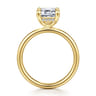Peace - 14K Yellow Gold Emerald Cut Diamond Engagement Ring - 0.07 ct