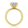 Paula - 14K Yellow Gold Emerald Cut Diamond Engagement Ring