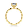 Paula - 14K Yellow Gold Emerald Cut Diamond Diamond Engagement Ring