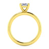 Lark - 14K Yellow Gold Emerald Cut Solitaire Engagement Ring