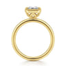 Linny - 14K Yellow Gold Emerald Cut Bezel Set Diamond Engagement Ring