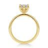 Paula - 14K Yellow Gold Marquise Shape Diamond Engagement Ring