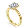 Aliona - 14K White-Yellow Gold Oval Diamond Engagement Ring - 0.09 ct