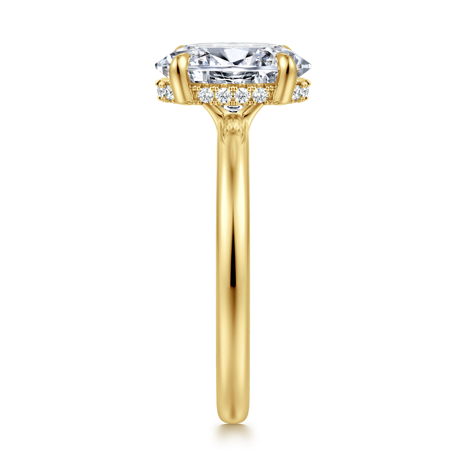 Aliona - 14K White-Yellow Gold Oval Diamond Engagement Ring - 0.09 ct - Shot 4