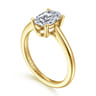Anushka - 14K Yellow Gold Oval Solitaire Diamond Engagement Ring