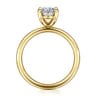 Tiana - 14K Yellow Gold Oval Solitaire Diamond Engagement Ring