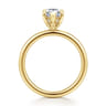 Cari - 14K Yellow Gold Pear Shape Diamond Engagement Ring - 0.06 ct