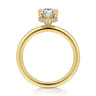 Rainah - 14K Yellow Gold Pear Shape Diamond Engagement Ring - 0.11 ct