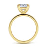 Paula - 14K Yellow Gold Princess Cut Diamond Engagement Ring