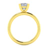 Lark - 14K Yellow Gold Princess Cut Solitaire Engagement Ring