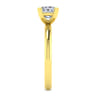 Lark - 14K Yellow Gold Princess Cut Solitaire Engagement Ring
