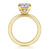 Lark - 14K Yellow Gold Princess Cut Solitaire Engagement Ring