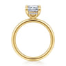 Cari - 14K Yellow Gold Radiant Cut Diamond Engagement Ring - 0.07 ct
