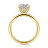 Daniele - 14K Yellow Gold Round Solitaire Diamond Engagement Ring - 0.14 ct