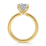 Abley - 14K Yellow Gold Round Solitaire Diamond Engagement Ring - 0.05 ct