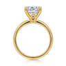 Ali - 14K Yellow Gold Diamond Engagement Ring