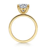 Paula - 14K Yellow Gold Round Diamond Engagement Ring