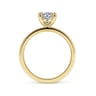 Paula - 14K Yellow Gold Round Diamond Engagement Ring