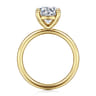 Tiana - 14K Yellow Gold Round Solitaire Diamond Engagement Ring