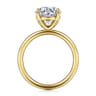 Tiana - 14K Yellow Gold Round Solitaire Diamond Engagement Ring