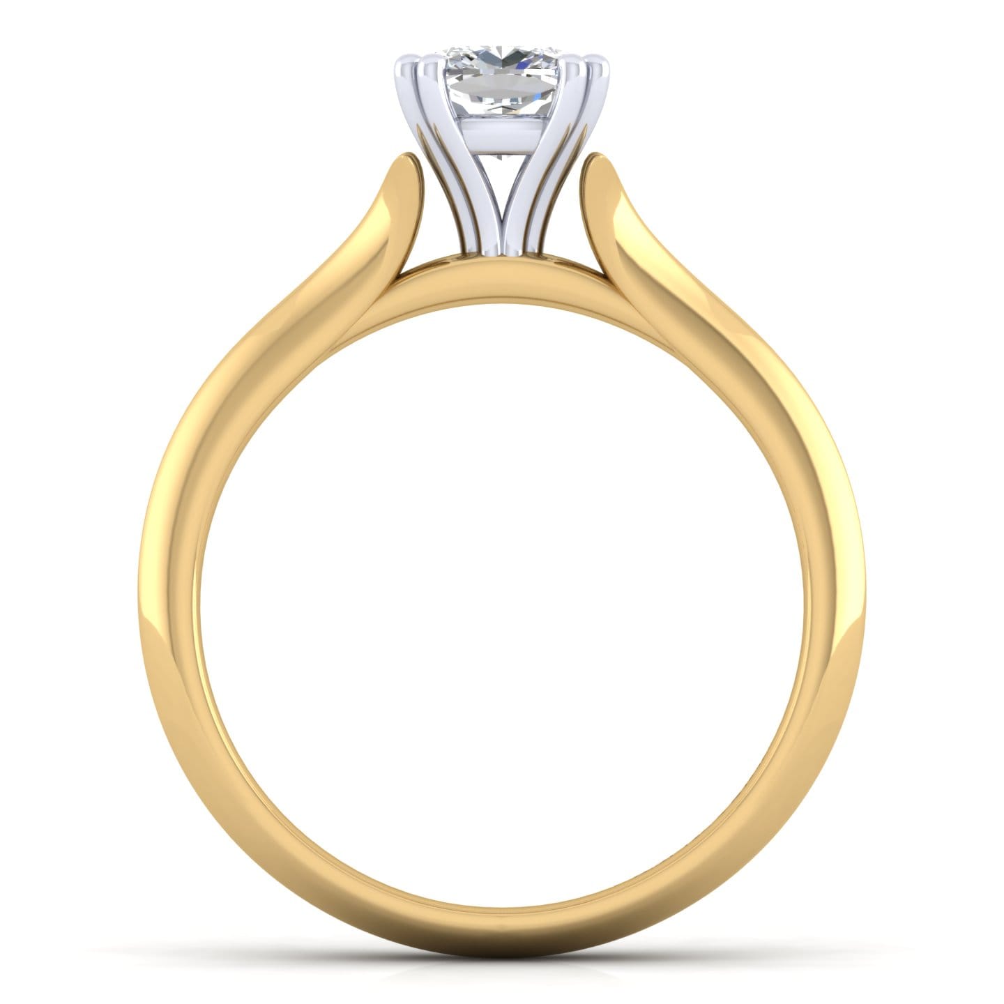 Ellis - 14K White-Yellow Gold Cushion Cut Diamond Engagement Ring - Shot 2