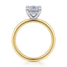 Cari - 14K White-Yellow Gold Elongated Cushion Diamond Engagement Ring - 0.05 ct
