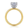 Peace - 14K Yellow-White Gold Elongated Cushion Diamond Engagement Ring - 0.08 ct