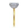 Cari - 14K White-Yellow Gold Emerald Cut Diamond Engagement Ring - 0.09 ct