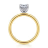Cari - 14K White-Yellow Gold Emerald Cut Diamond Engagement Ring - 0.05 ct