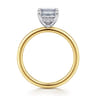 Cari - 14K White-Yellow Gold Emerald Cut Diamond Engagement Ring - 0.06 ct