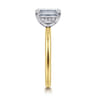 Cari - 14K White-Yellow Gold Emerald Cut Diamond Engagement Ring - 0.06 ct