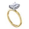 Cari - 14K White-Yellow Gold Emerald Cut Diamond Engagement Ring - 0.07 ct