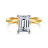 Ericka - 14K White and Yellow Gold Emerald Cut Diamond Engagement Ring - 0.13 ct