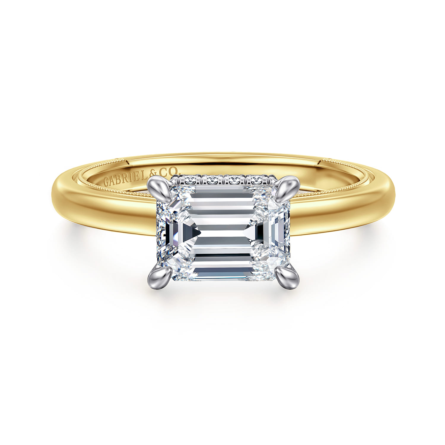 Sandi - 14K White-Yellow Gold East West Emerald Cut Diamond Engagement Ring - 0.11 ct - Shot 1