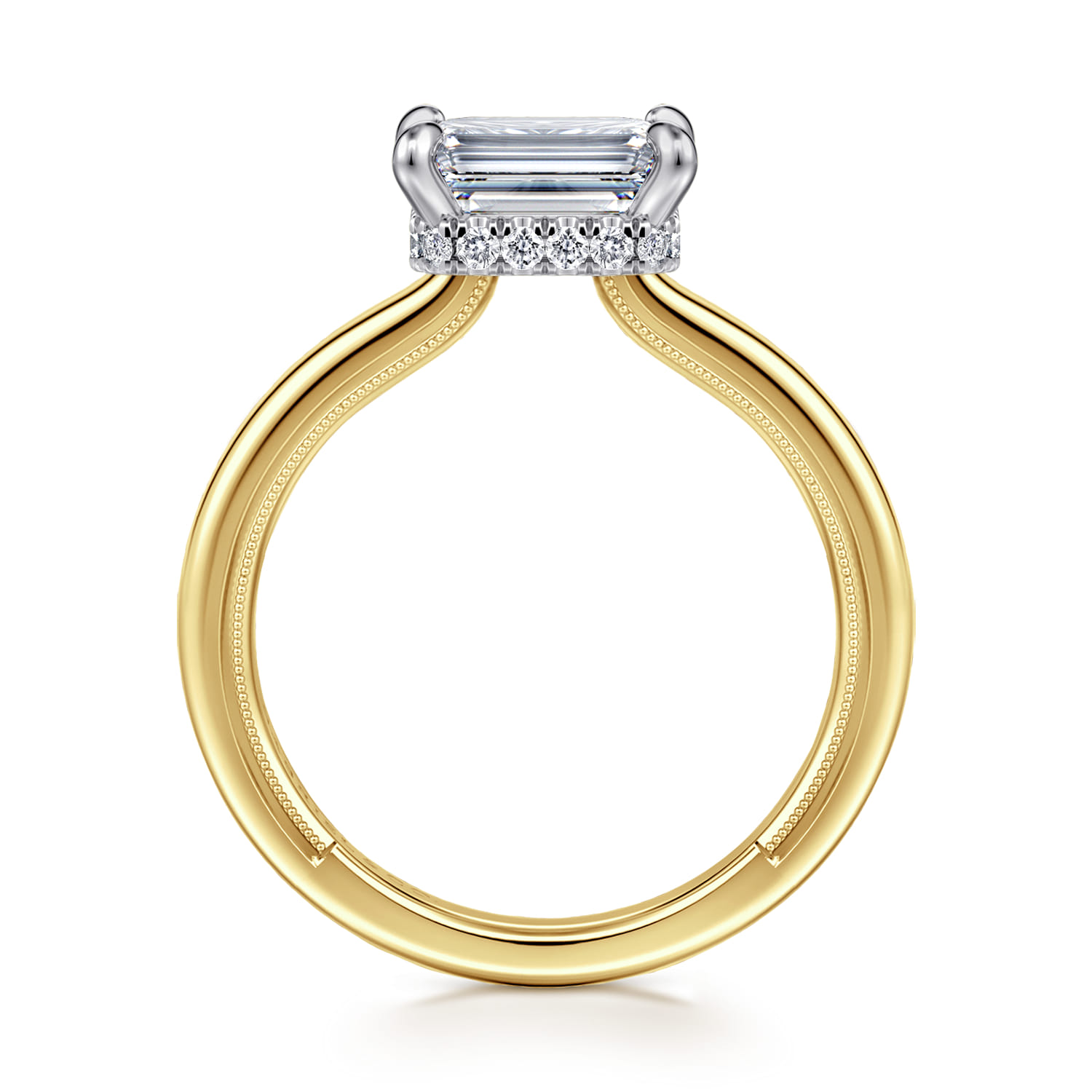 Sandi - 14K White-Yellow Gold East West Emerald Cut Diamond Engagement Ring - 0.11 ct - Shot 2